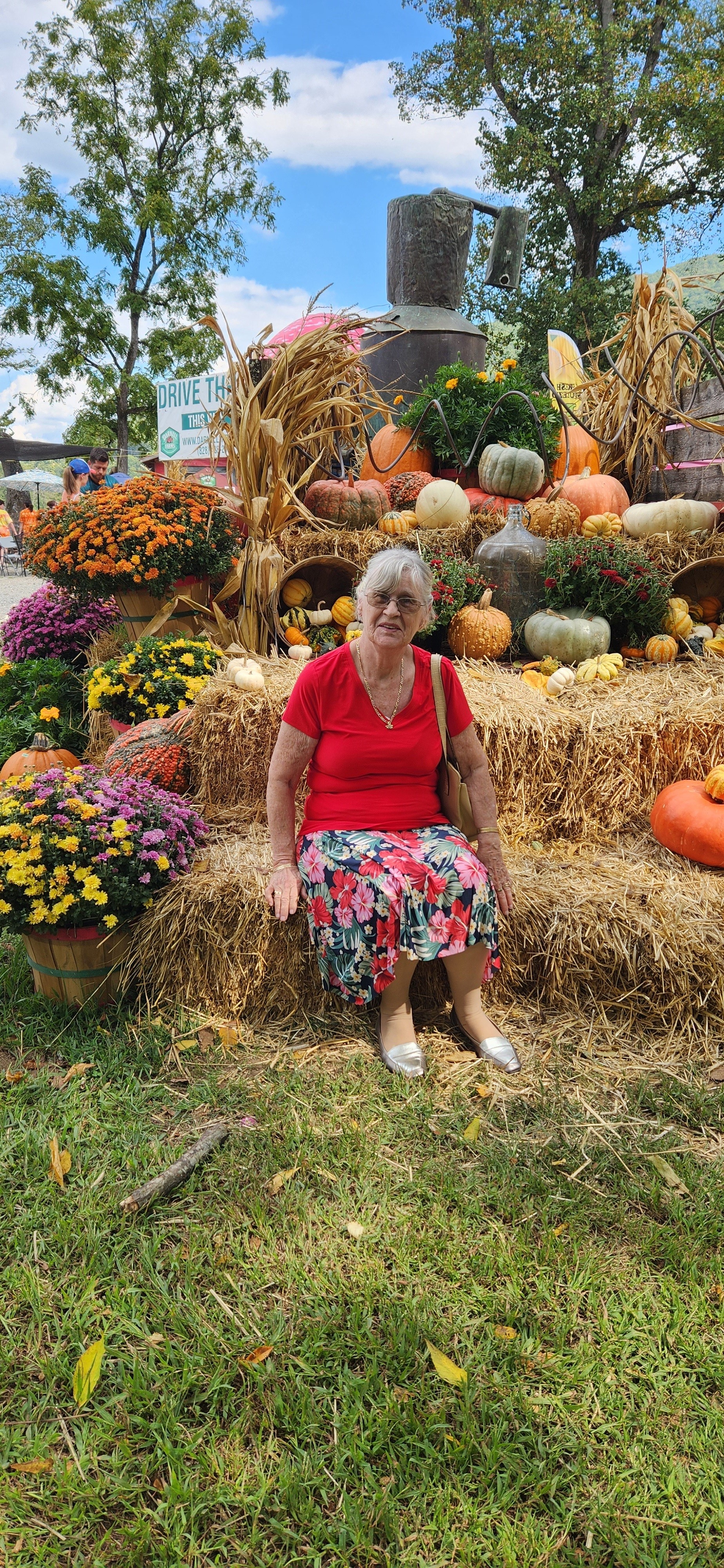 Smith and her vehicle